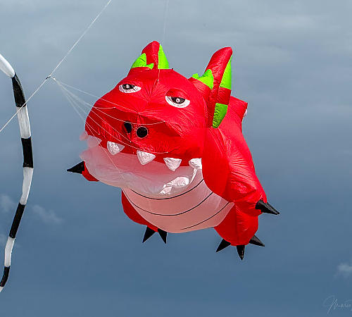 DRACHEN 2026-17