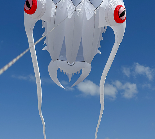 DRACHEN 2026-21