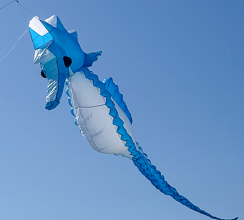DRACHEN 2026-25