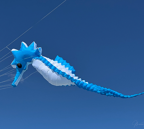 DRACHEN 2026-41